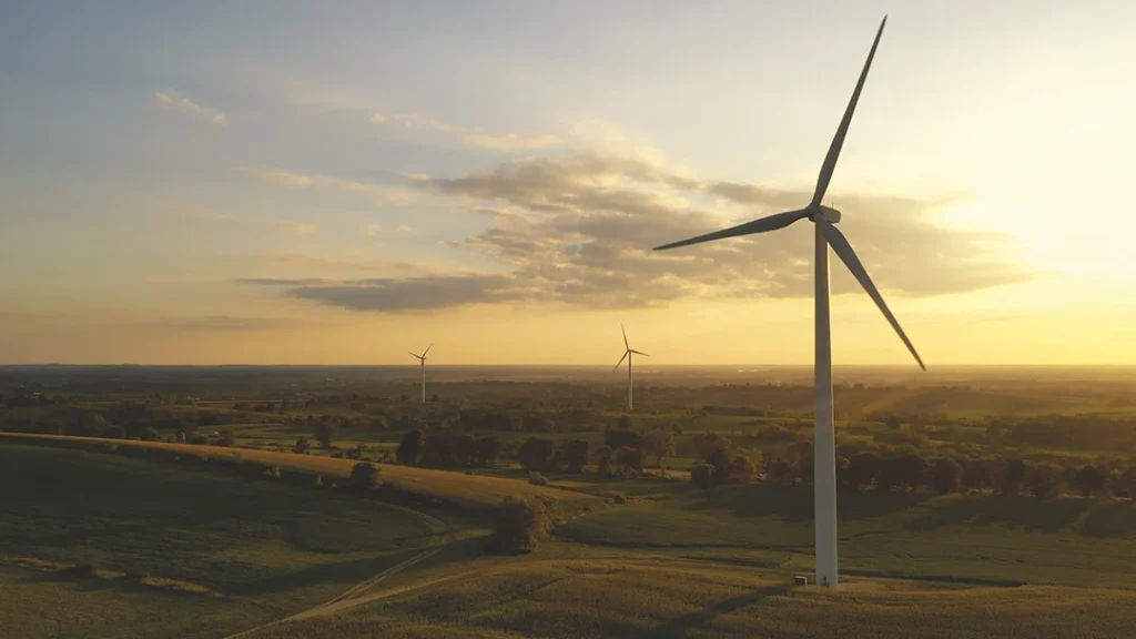 Windmills in the middle of nowhere