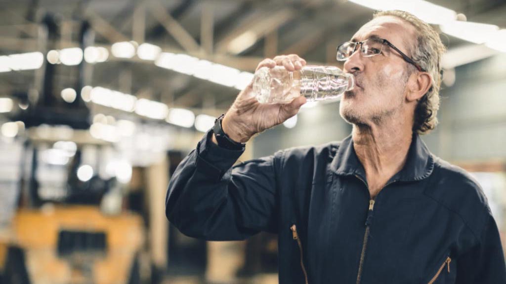 Heat Stress Strategies